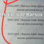 Exclude Bansos Artinya Apa? 9 Penyebab & Cara Cepat Cair Lagi