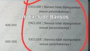 Exclude Bansos Artinya Apa? 9 Penyebab & Cara Cepat Cair Lagi